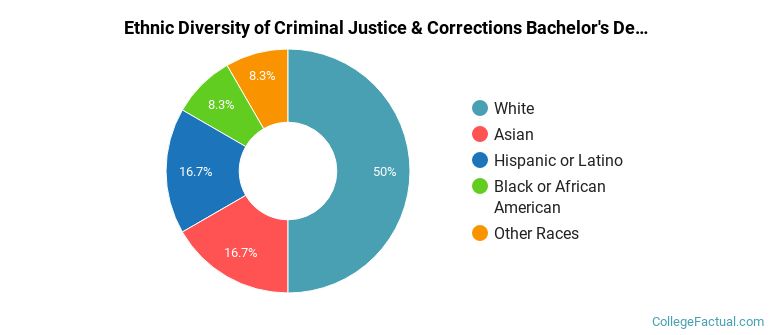 Ethnic diversity of Criminal Justice & Corrections majors at University of Detroit Mercy