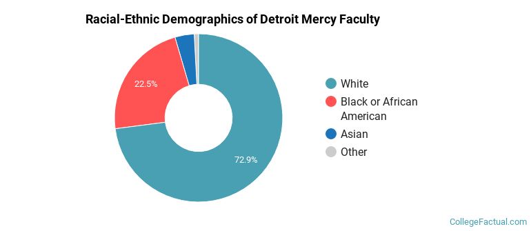 Racial-Ethnic Demographics of Detroit Mercy Faculty