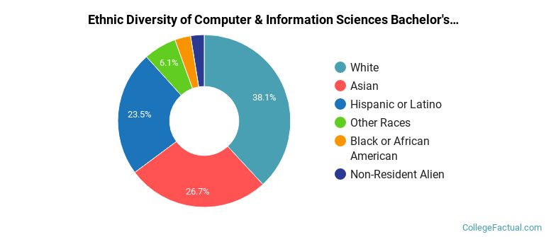 Ethnic diversity of Computer & Information Sciences majors at University of Florida