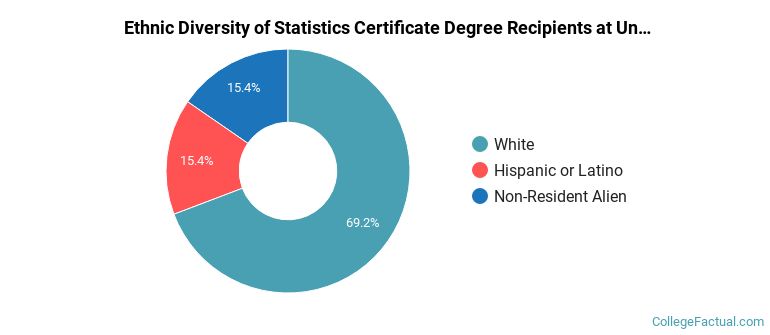 Ethnic diversity of Statistics majors at University of Florida