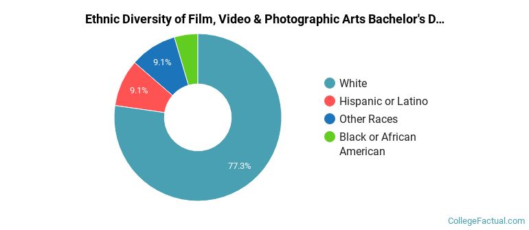 Ethnic diversity of Film, Video & Photographic Arts majors at University of Georgia
