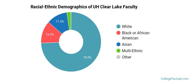 Racial-Ethnic Demographics of UH Clear Lake Faculty