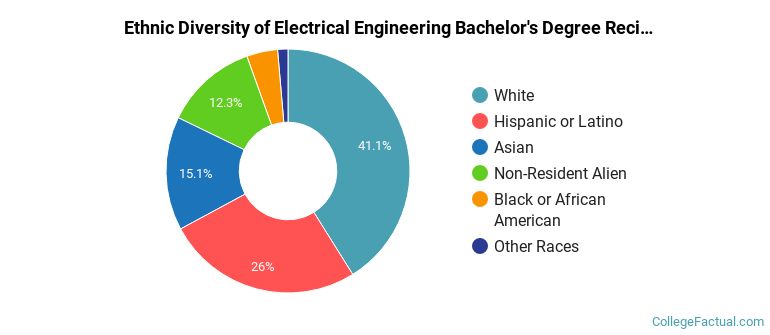 Ethnic diversity of Electrical Engineering majors at University of Illinois Chicago