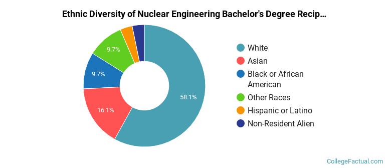 Ethnic diversity of Nuclear Engineering majors at University of Illinois Urbana-Champaign
