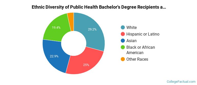 Ethnic diversity of Public Health majors at University of Illinois Urbana-Champaign