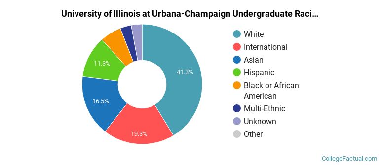 University of Illinois Urbana-Champaign Racial-Ethnic Diversity Pie Chart