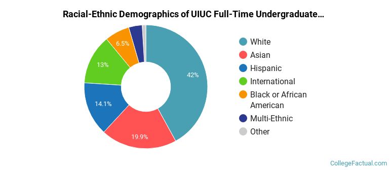 University of Illinois Urbana-Champaign Undergraduate Racial-Ethnic Diversity Pie Chart