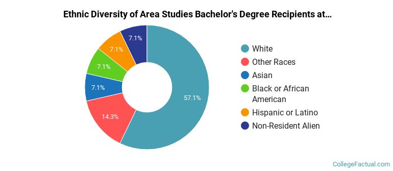 Ethnic diversity of Area Studies majors at University of Iowa