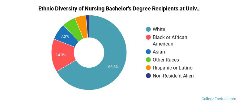 Ethnic diversity of Nursing majors at University of Louisville
