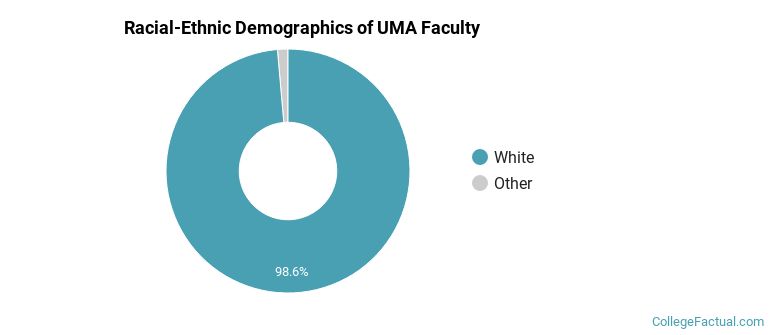 Racial-Ethnic Demographics of UMA Faculty