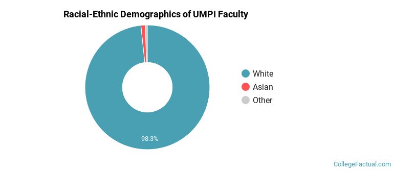 Racial-Ethnic Demographics of UMPI Faculty