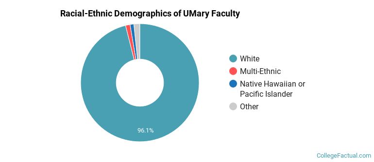 Racial-Ethnic Demographics of UMary Faculty
