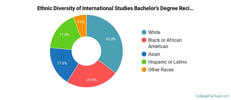 Ethnic diversity of International Studies majors at University of Maryland-Baltimore County