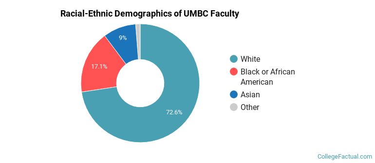 Racial-Ethnic Demographics of UMBC Faculty