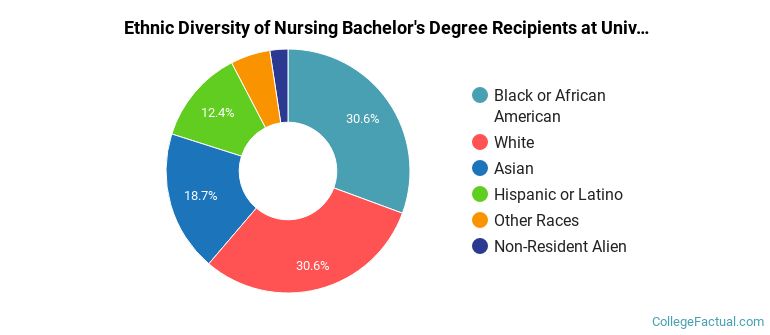 Ethnic diversity of Nursing majors at University of Maryland, Baltimore