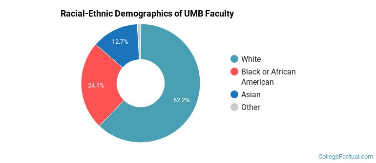 Racial-Ethnic Demographics of UMB Faculty