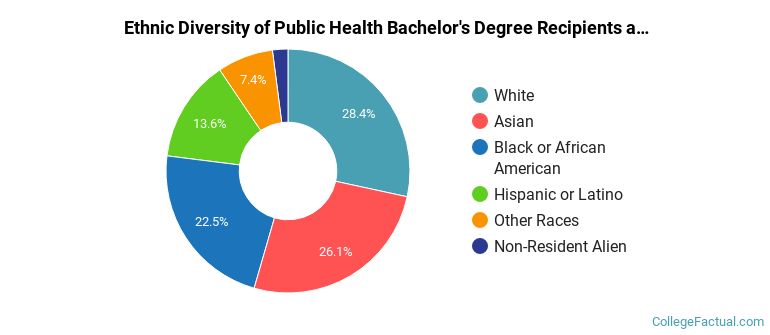 Ethnic diversity of Public Health majors at University of Maryland-College Park