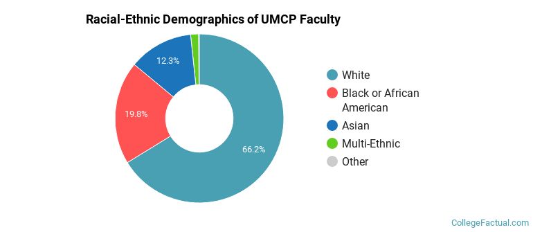 Racial-Ethnic Demographics of UMCP Faculty