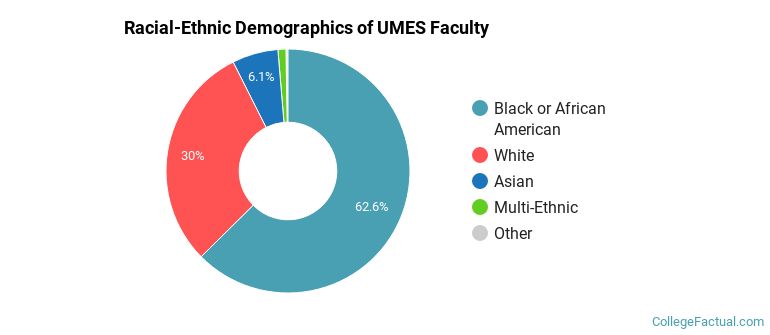 Racial-Ethnic Demographics of UMES Faculty