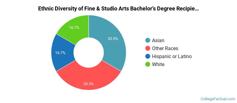 Ethnic diversity of Fine & Studio Arts majors at University of Massachusetts-Dartmouth