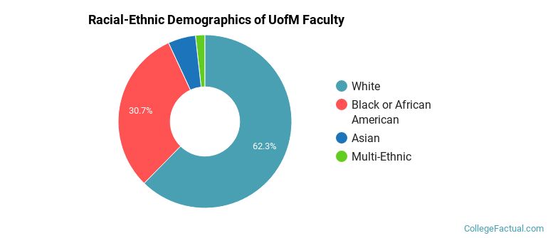 Racial-Ethnic Demographics of UofM Faculty