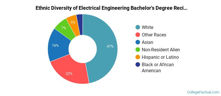 Ethnic diversity of Electrical Engineering majors at University of Michigan-Ann Arbor