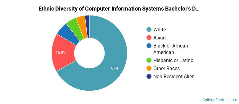 Ethnic diversity of Computer Information Systems majors at University of Michigan-Dearborn