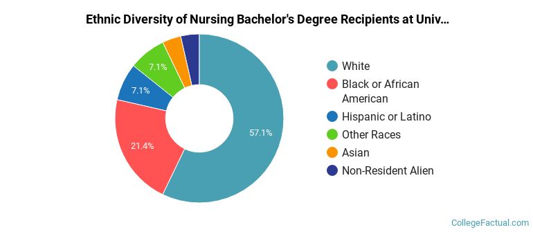 Ethnic diversity of Nursing majors at University of Mobile