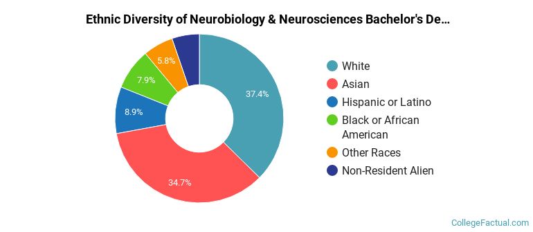 Ethnic diversity of Neurobiology & Neurosciences majors at University of North Carolina at Chapel Hill