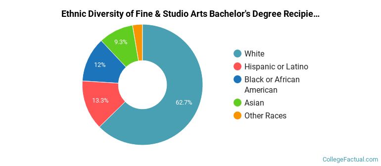 Ethnic diversity of Fine & Studio Arts majors at University of North Carolina at Charlotte