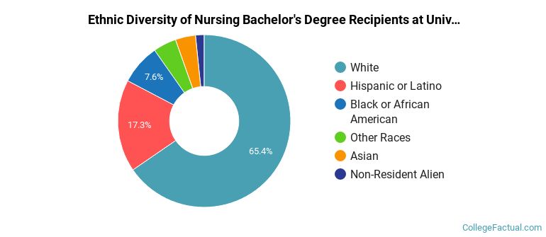Ethnic diversity of Nursing majors at University of North Georgia