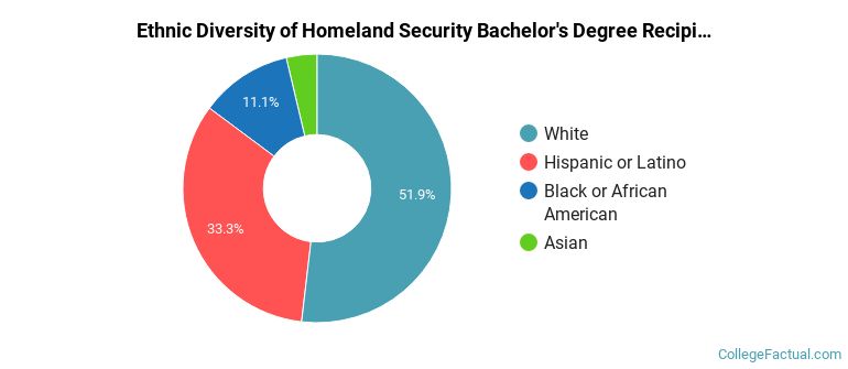 Ethnic diversity of Homeland Security majors at University of North Texas