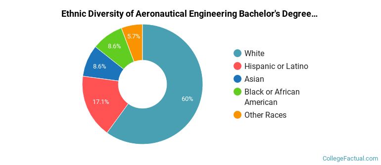Ethnic diversity of Aeronautical Engineering majors at University of Notre Dame