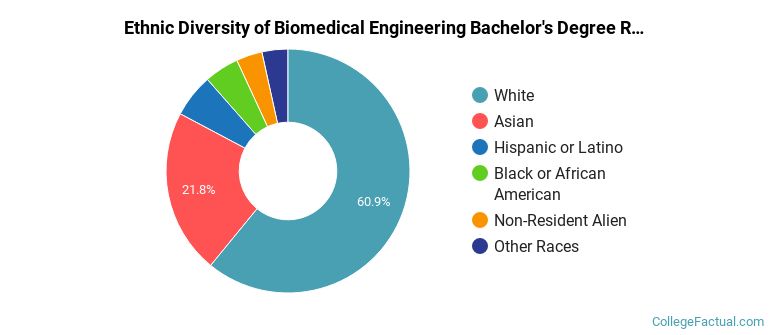 The Bio Engineering Major at University of Pittsburgh - Pittsburgh Campus