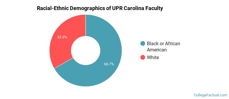 Racial-Ethnic Demographics of UPR Carolina Faculty