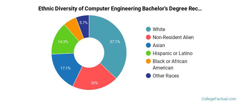 Ethnic diversity of Computer Engineering majors at University of South Florida