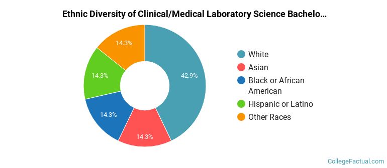 Ethnic diversity of Clinical/Medical Laboratory Science majors at University of South Florida