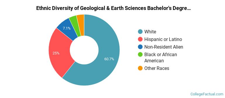 Ethnic diversity of Geological & Earth Sciences majors at University of South Florida