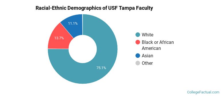 Racial-Ethnic Demographics of USF Tampa Faculty