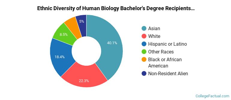Ethnic diversity of Human Biology majors at University of Southern California