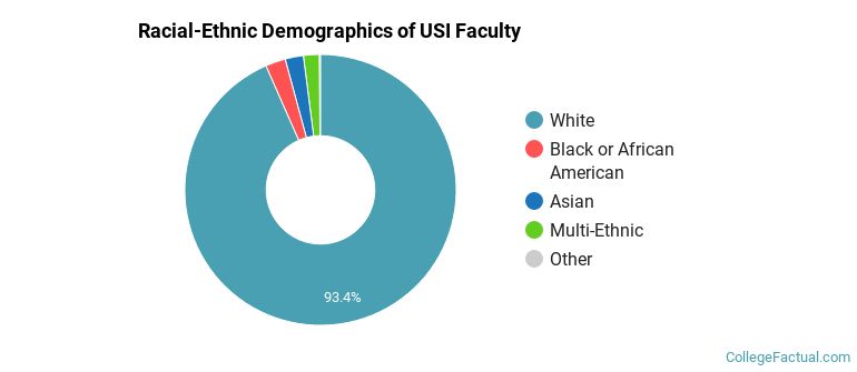 Racial-Ethnic Demographics of USI Faculty