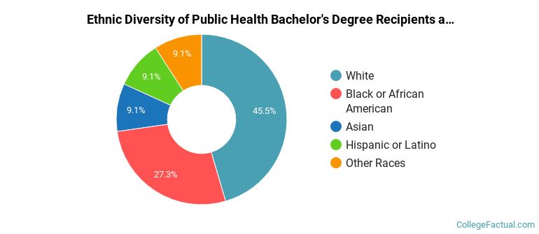 Ethnic diversity of Public Health majors at University of Southern Maine