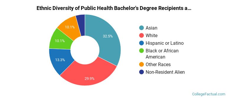 Ethnic diversity of Public Health majors at University of Washington-Seattle Campus