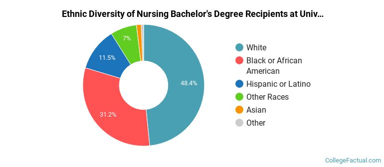 Ethnic diversity of Nursing majors at University of West Georgia