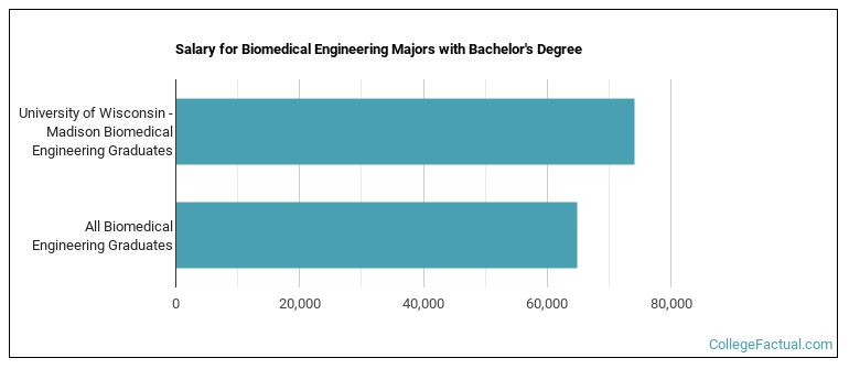 The Bio Engineering Major at University of Wisconsin - Madison