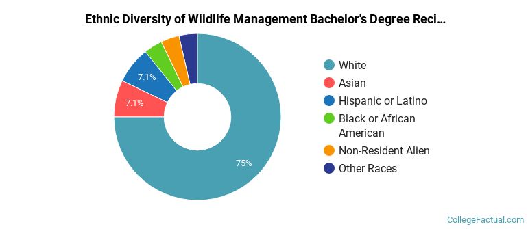 Ethnic diversity of Wildlife Management majors at University of Wisconsin-Madison