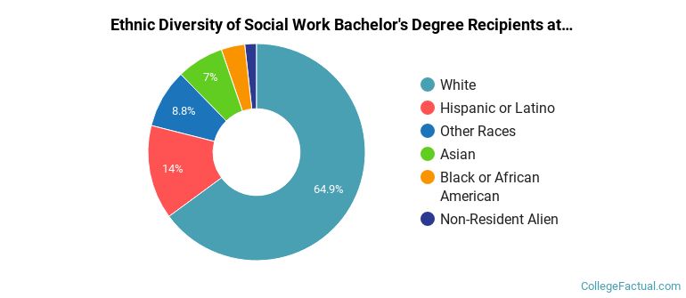 Ethnic diversity of Social Work majors at University of Wisconsin-Madison