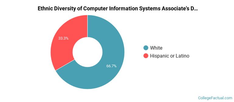 Ethnic diversity of Computer Information Systems majors at Utah State University
