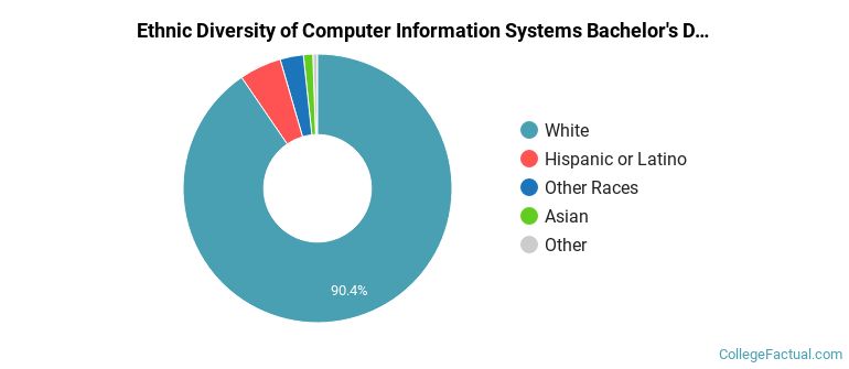 Ethnic diversity of Computer Information Systems majors at Utah State University