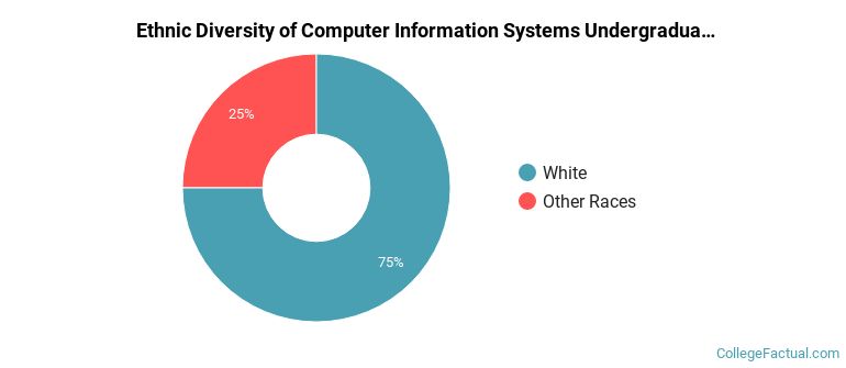 Ethnic diversity of Computer Information Systems majors at Utah State University